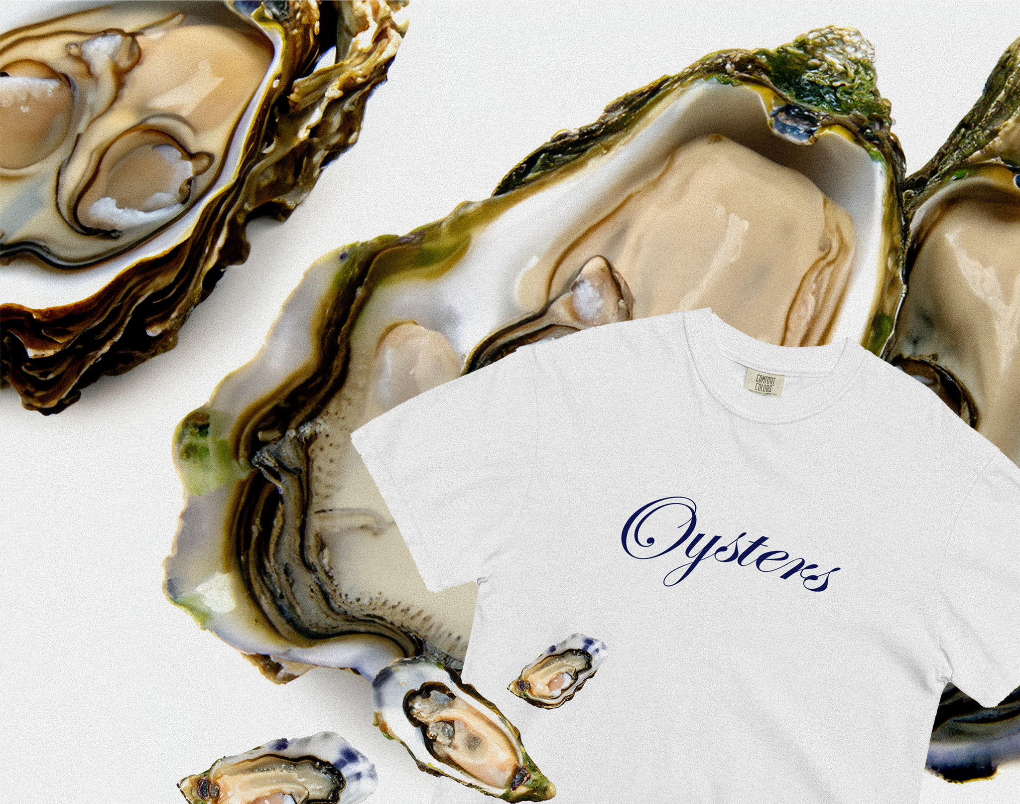 Oysters