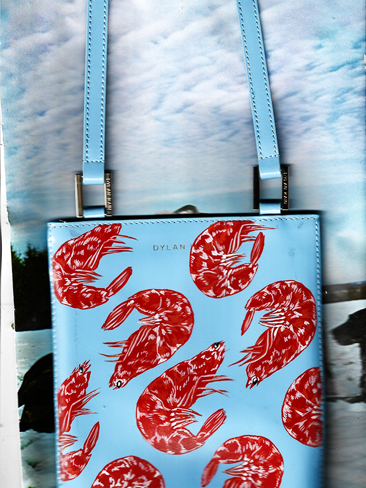 Prawn cocktail ハンドバッグ New Stock – Prawn Cocktail